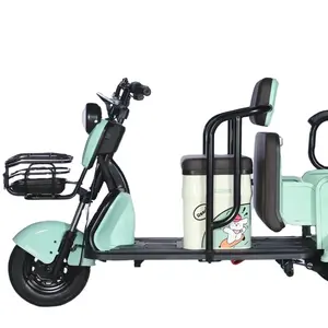 Wholesale Passenger Trike Small Leisure Electric Tricycle For Elderly Mobility Scooter With Foldable Seat