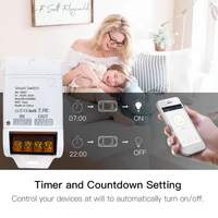 Disjoncteur intelligent Tuya Wifi 30A AC 85-250V avec minuterie, application Smart Life, interrupteur sans fil intelligent