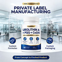 Capsules Antioxydantes Urolithin PQQ CoQ10 Marque Blanche Formule Personnalisée Complément Anti-Âge Sain OEM/ODM Qualité Alimentaire 60 Gélules