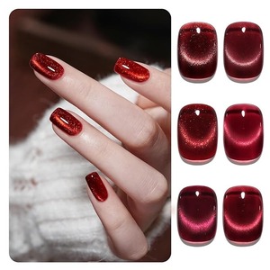 Jelly Red Glitter Cat Eye <b>Gel</b> <b>Nail</b> Polish <b>Set</b> with Magnet 6 Types of Holographic Cat Eye, Salon - Product Image 3