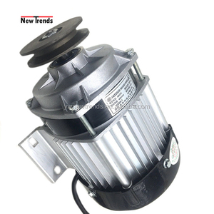 Motore Elettrico BM1418ZXF 750W 48V 60V DC Brushless con Puleggia <span class=keywords><strong>per</strong></span> Scooter, Biciclette Elettriche e Attrezzature Agricole - Product Image 4