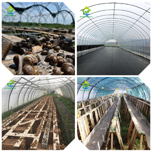 Estructura de Invernadero de Alta Calidad para Cultivo de Caracoles con Sistema Hidropónico, Venta al Por Mayor Global - Product Image 5