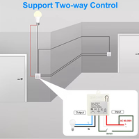 Interrupteur sans fil RF 433 MHz 220 V 100 V Panneau mural avec télécommande 433,92 MHz Mini récepteur de relais Interrupteur de lampe LED domestique amusant