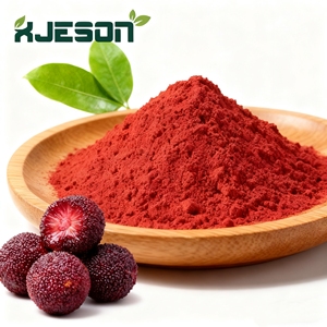 مسحوق فاكهة التوت الأحمر الطبيعي النقي الأكثر مبيعًا، مسحوق عصير اليومبيري، مسحوق فاكهة البايبري بدرجة غذائية - Product Image 2