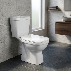 WC monobloc en céramique économique à chasse siphonique, siphon en P, forme carrée, Vistaar India, pour salle de bain - Product Image 1