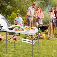 Station de travail multi-usage en plastique portable avec deux éviers pour la pêche en camping et la chasse