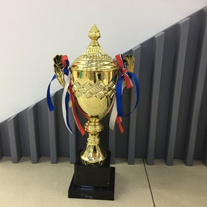 Metal <b>Trophies</b> 52CM 47CM 41.5CM 36.5CM 33CM 29CM <b>Engraving</b> Durable General Use Awards Competitions Prizes Company Events - Product Image 3