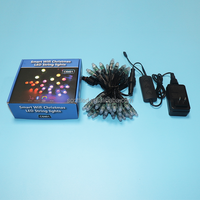 Guirlande lumineuse 2023 LED 12V pour décoration extérieure, nouvelle collection 100