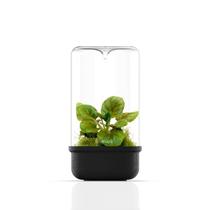 Terrarium en verre Bioloark - <span class=keywords><strong>Aquarium</strong></span> miniature de bureau pour la décoration du salon Noir/Blanc MH-80/100/120 - Product Image 1