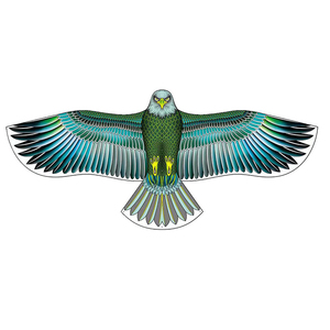 Variété de styles de simulation puissante aigle <span class=keywords><strong>cerf</strong></span>-<span class=keywords><strong>volant</strong></span> <span class=keywords><strong>oiseaux</strong></span> usines chinoises en gros sur mesure pour adultes enfants à voler - Product Image 3