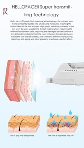 Injecteur d'<span class=keywords><strong>acide</strong></span> <span class=keywords><strong>hyaluronique</strong></span> à vente chaude, machine de mésothérapie sans aiguille, prix, <span class=keywords><strong>pistolet</strong></span> injecteur de mésothérapie, sérum, mésothérapie - Product Image 2