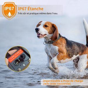 सुरक्षित रिचार्जेबल वाटरप्रूफ शॉक कंपन बीप कोई बार्किंग विरोधी बैकिंग कुत्ते कॉलर इलेक्ट्रॉनिक विरोधी कॉलर - Product Image 6