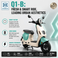 Scooter électrique facile à manier, 48V 350W, léger, compact, conduite urbaine et périurbaine fluide, cyclomoteur électrique pour adultes