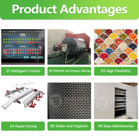 Zeewierbes Mesh Belt Droogmachine Fruitdroogmachine Fruitdroogapparaat Zeewierbes Mesh Belt Droogapparatuur