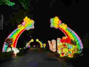 Lanternes de fleurs décoratives de spectacle de lumière chinoise Lanterne de champignon extérieure - Product Image 6