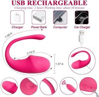 Neue tragbare APP Fernbedienung geformte Vagina Bälle Kugel Vibrator Sexspielzeug Höschen Vibrierendes Sprung Ei für Frauen