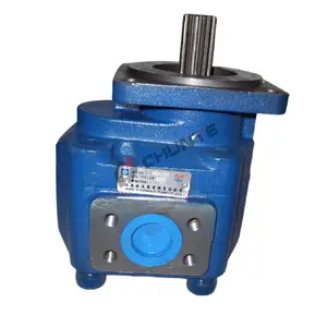 Qualitäts sicherungs spezifikationen komplette Hydraulik zahnradpumpe 803004063 Hydraulik pumpe CBGJ3100 für SDLG