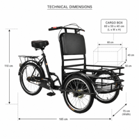 DomeRide Tricycle de loisirs transfrontalier européen à suspension avant et cadre à suspension arrière souple pour personnes âgées, capacité de charge 150 kg, 20 pouces
