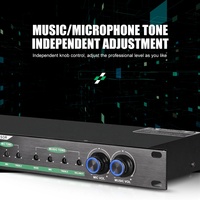 Système de contrôle audio professionnel Debra Audio E-260 Processeur d'effets numériques complet pour console audio de karaoké Mixeur