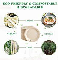 Plateau moulé en pâte biodégradable Assiette jetable en bagasse de canne à sucre avec couvercle pour le camping