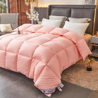 Ensemble de literie de luxe pour hôtel, personnalisé, en coton, taille Queen et King, pour mariage, avec insert de couette matelassé pour l'hiver