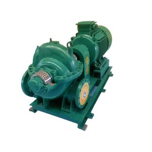 Pompe centrifuge horizontale monophasée à double aspiration à haut débit pour l'irrigation agricole et l'ingénierie de la conservation de l'eau - Product Image 3