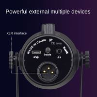 Microphone dynamique filaire DAYMIC MV7 - Professionnel pour le jeu, le streaming en direct, l'enregistrement, connecteur Type-C, réduction du bruit