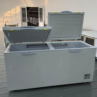 Nouveau congélateur horizontal intérieur amélioré en acier inoxydable pour restaurant de supermarché congélateur horizontal à refroidissement direct