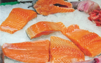Machine à découper le poisson fumé en filets de poids égal, trancheuse à viande CUT28