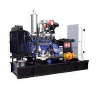 Groupe électrogène au gaz naturel 250KW à fonctionnement parallèle, homologué ISO CE, avec régulateur de tension automatique (AVR), générateur de gaz biomasse, IP55, efficacité 95%, Gensyn