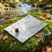Sac en aluminium argenté avec robinet, pochette de stockage d'eau portable de qualité alimentaire pour le camping en plein air, emballage de liquides