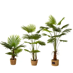 Yüksek kaliteli yapay fan palmiye ağacı sahte palmiye ağacı ve bitkiler satılık