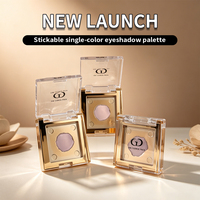 Palette vide carrée pour fard à paupières, blush et illuminateur, avec couvercle transparent électroplaqué or, logo personnalisé, OEM, vente en gros, en vrac