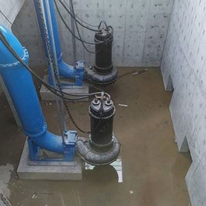 OEM Customizable Efficient Motor Corrosion Resistant Cast Iron <b>Submersible</b> Sewage <b>Pump</b> for Wastewater Treatment - Product Image 3
