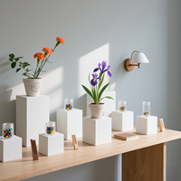 Ensemble de cubes d'affichage en acrylique blanc pour aliments, parfums, vases à fleurs et présentoirs cosmétiques