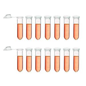 หลอดไมโครเซนทริฟิวจ์แบบใสขนาด 2 มล. พร้อมฝาปิดแบบ Snap Cap ก้นทรงกรวย ทำจากโพลีโพรพิลีน - Product Image 4