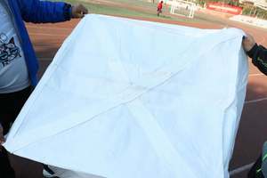 Bolsas Jumbo de Último Diseño con Capacidad de Carga de 1100 kg y Función Antiestática - Product Image 5