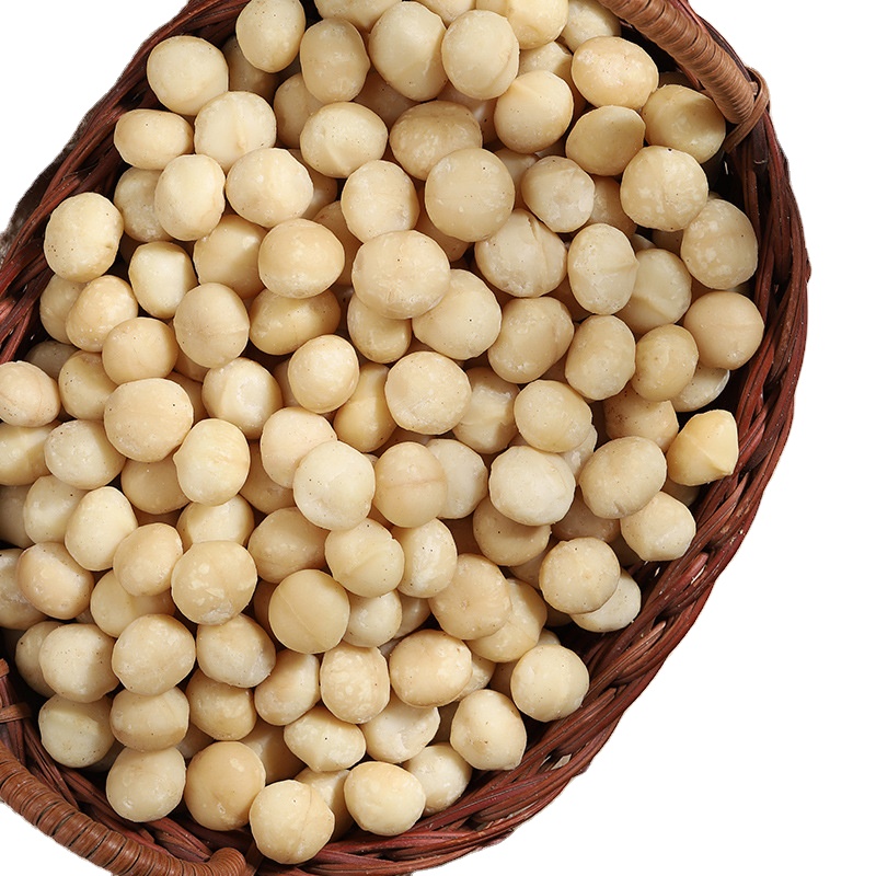 Premium Kwaliteit Macadamia Noten Rauwe Geroosterde Noten Gezonde Voeding Macadamia In Schaal 20-25Mm