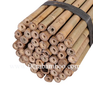 <span class=keywords><strong>Cannes</strong></span> en bambou diamètre 18/20mm x l 240cm, pour garde-arbres - Product Image 2