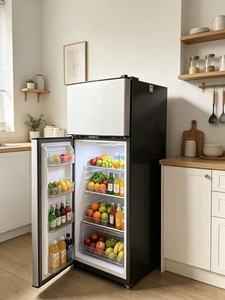 Mini Refrigerador Compacto de 53L con <span class=keywords><strong>Congelador</strong></span> Superior BCD-53A, Doble Puerta, Descongelación Manual, Plástico Plateado, Ahorro de Energía, Refrigerante R600a - Product Image 5