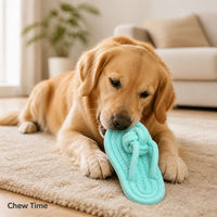 Jouet à mâcher pour chien en corde de coton, jouet à mâcher en forme de pantoufle, jouet interactif tressé pour chiens de petite et moyenne taille