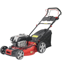 2021 nouveau Design tondeuse à gazon essence chine tracteur de jardin tondeuse à gazon moteur Briggs Stratton