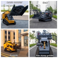 Mini-chargeuse compacte sur chenilles, capacité 500 kg, moteur diesel Kubota, homologuée EPA et CE, avec accessoires hydrauliques, garantie 2 ans