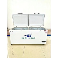 Congélateur horizontal à température unique pour la maison, 150l, 200l, 250l, 350l