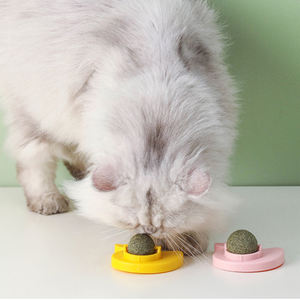 Bola de hierba gatera Licks <span class=keywords><strong>Lico</strong></span> Sticky spinning Bola de menta madera día Polygonum eliminación de bolas de pelo moler los dientes Limpieza de dientes - Product Image 1