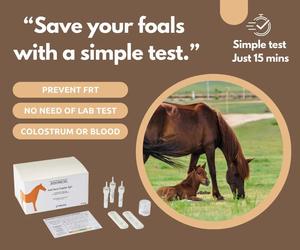 Kit de análisis rápido de sangre de Inmunoglobulina G (IgG) para potro de caballo, pruebas veterinarias de calostro y sangre para uso animal - Product Image 2