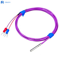Temperature Sensor RTD T/E/J/K Type PTFE Insulation Waterproof Pin-type Probe OEM/ODM Customizable Length IP68