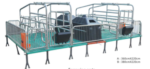 Équipements d'élevage porcin : Équipements en plastique pour truies, sol à lattes, cage de mise bas galvanisée pour porcs - Product Image 2