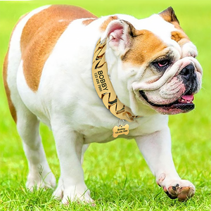 골드 개 체인 목걸이 개인화 된 이름 32mm 와이드 스테인레스 스틸 씹는 증거 훈련 대형견을위한 애완 동물 체인 고리 - Product Image 4