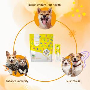 Suplemento de probióticos para mascotas OEM ODM Multi-Nutrient Urinary Tract Support Urinary Problem Relief Uti Prevention - Product Image 5